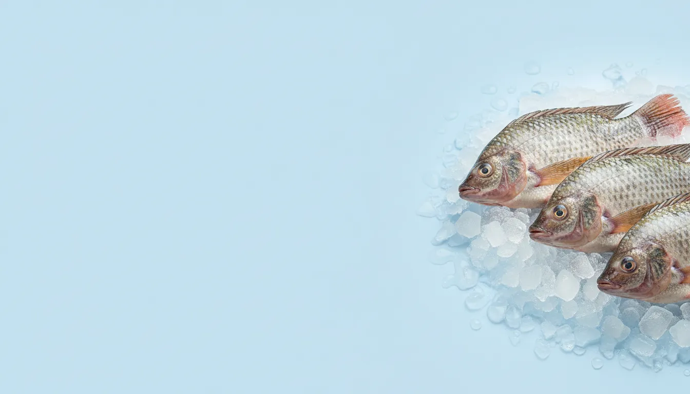 Poisson frais tilapia AgriZandu RDC