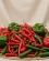 Piments et poivrons