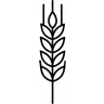 Céréales & Grains