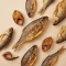 Poisson fumé et salé