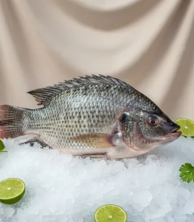 Poisson frais