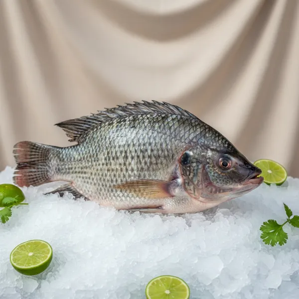 Poisson frais