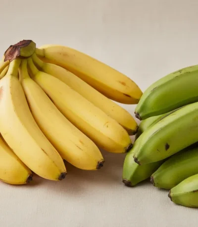 Bananes et plantains