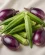 Gombo et aubergines