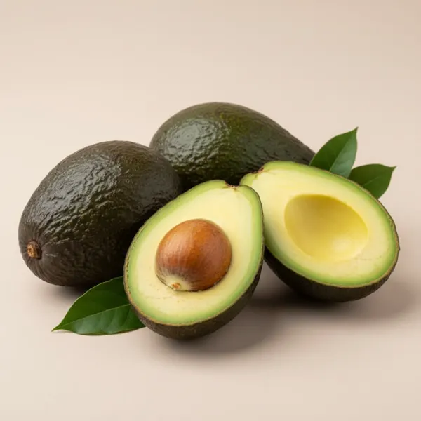 Avocats